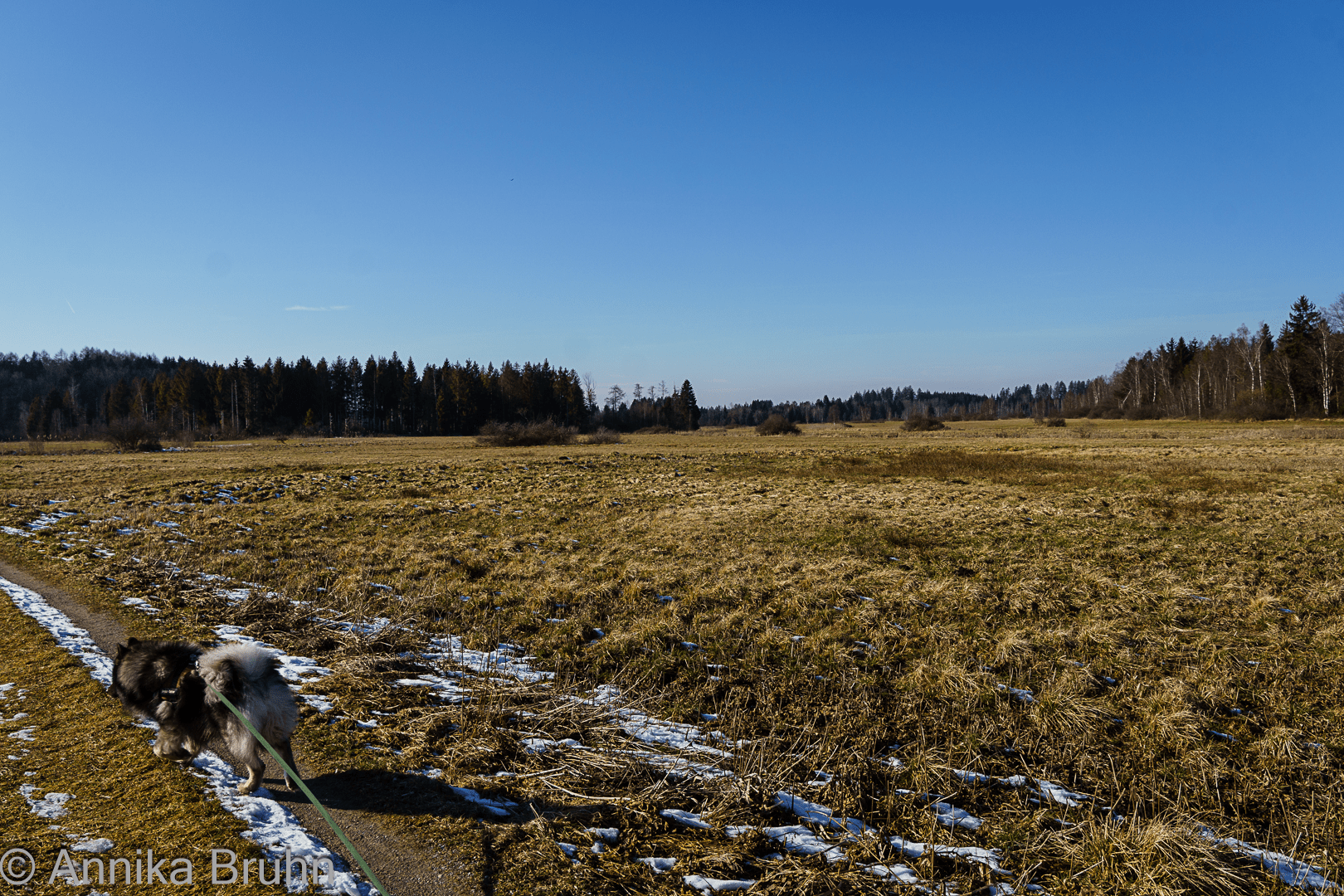 Ich möchte hier entlang
